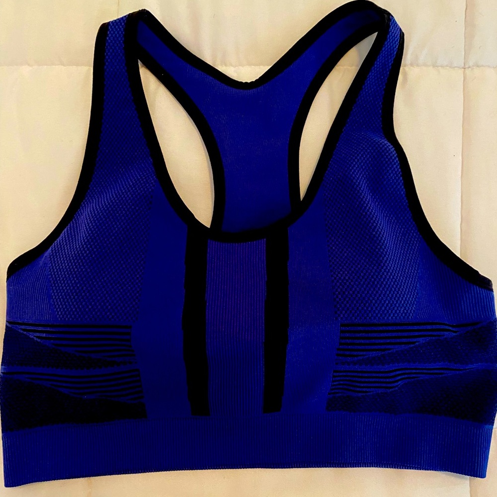 DSG sports bra, never worn, size DD, blue and black!